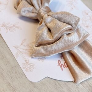 Cintillo Velvet champagne